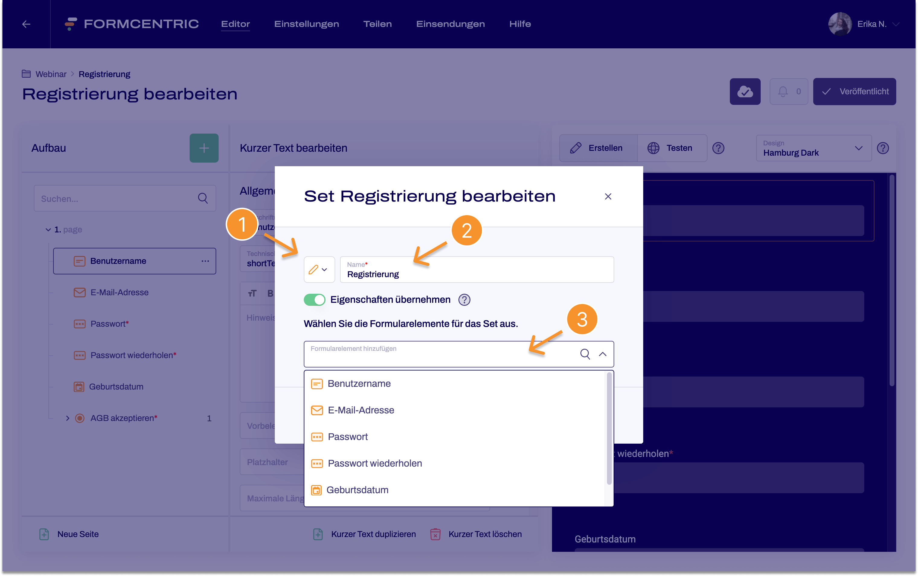 Das Dialogfenster Set bearbeiten ist geöffnet. Hier kann ein Icon und ein Name für das neu zu erstellende Set vergeben werden. Für das Set wurde ein Stift, für den Namen Registrierung gewählt. Über ein Dropdown können die in dem Formular verfügbaren Formularelemente ausgewählt werden.